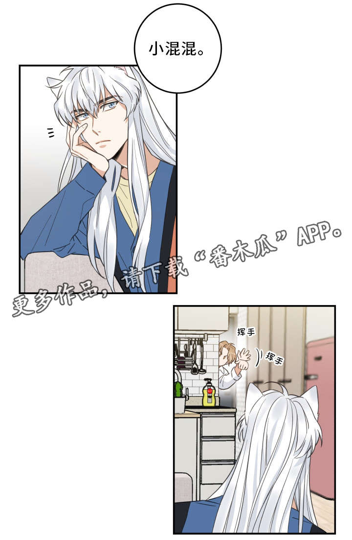 亲爱的喵君漫画在哪里看漫画,第18章：无动于衷2图
