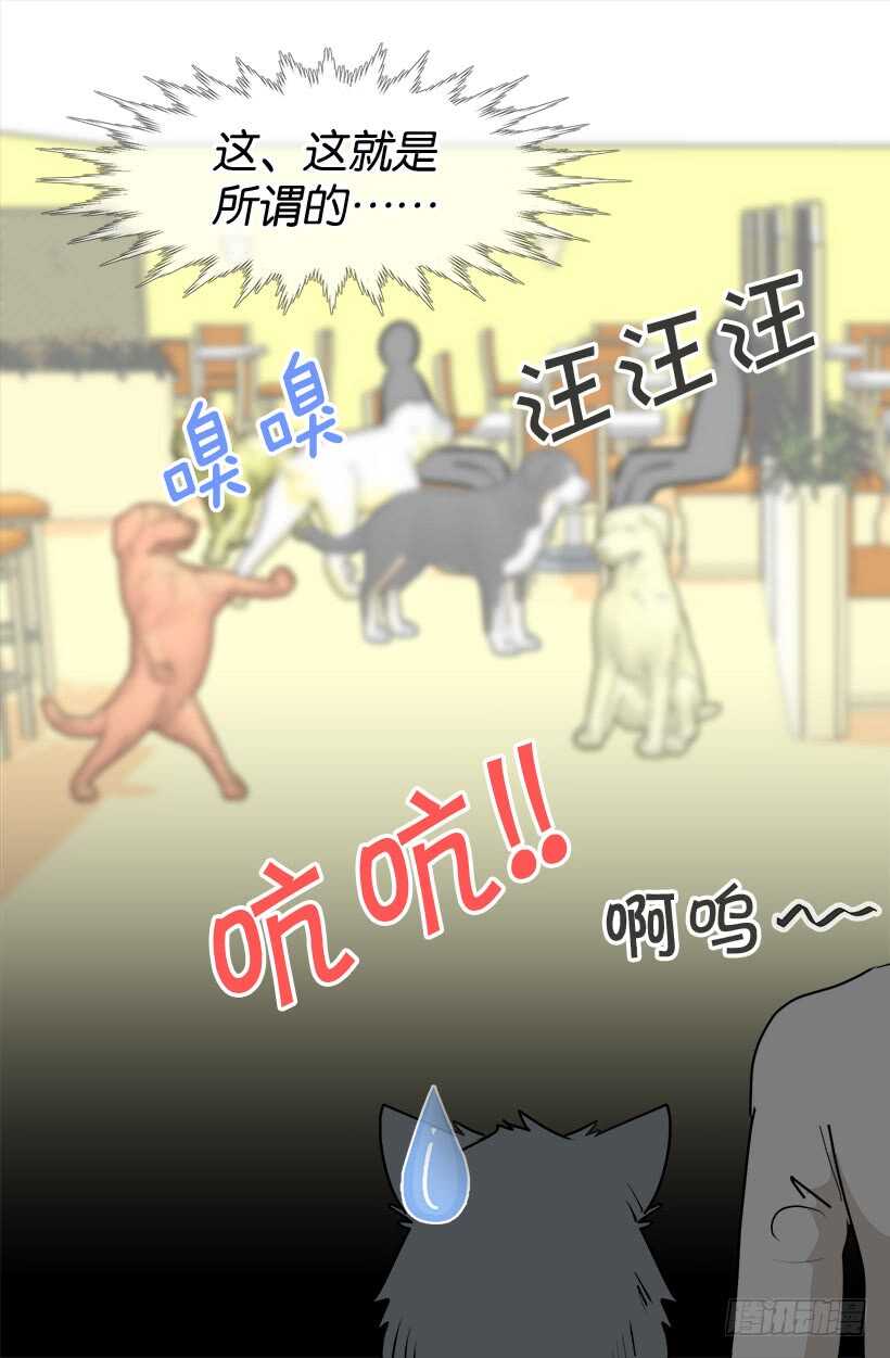 意外发现秘密3