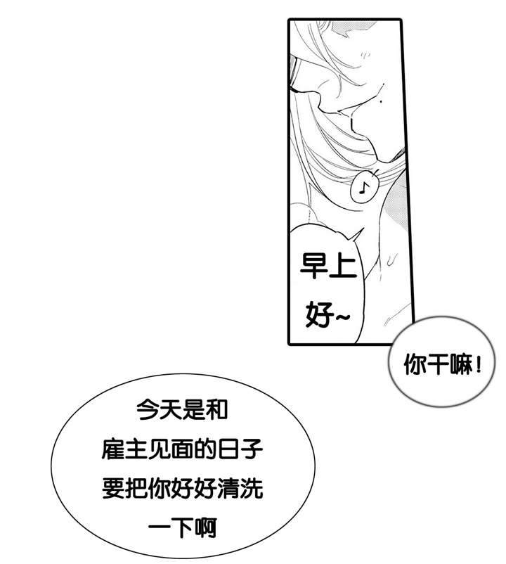 撒哈拉沙漠的歌曲漫画,第4话3图