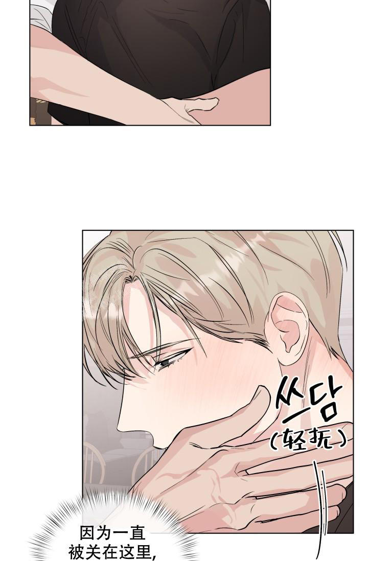 杀死爱尔兰人剧情漫画,第11话5图